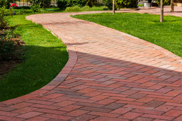 Best Affordable Driveway Pavers  in Roma, TX