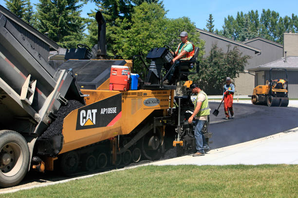 Best Local Driveway Pavers  in Roma, TX